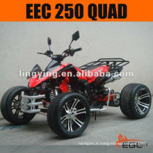 CEE ATV Quad Bike 250cc